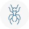 Ant Removals In Stoke On Trent