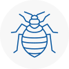 Bed Bug Extermination In Stoke On Trent