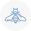 Bee Nest Removal Stoke On Trent