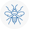 Stoke On Trent Hornet Nest Removals