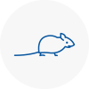 Mice Exterminators In Stoke On Trent