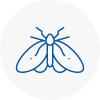 Moth Control Specialists In Stoke On Trent