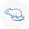 Rat Control Stoke On Trent