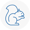 Stoke On Trent Rodent Removals