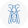 Stoke On Trent Wasp Nest Removal